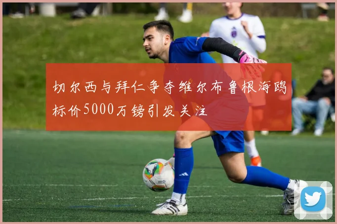 切尔西与拜仁争夺维尔布鲁根海鸥标价5000万镑引发关注